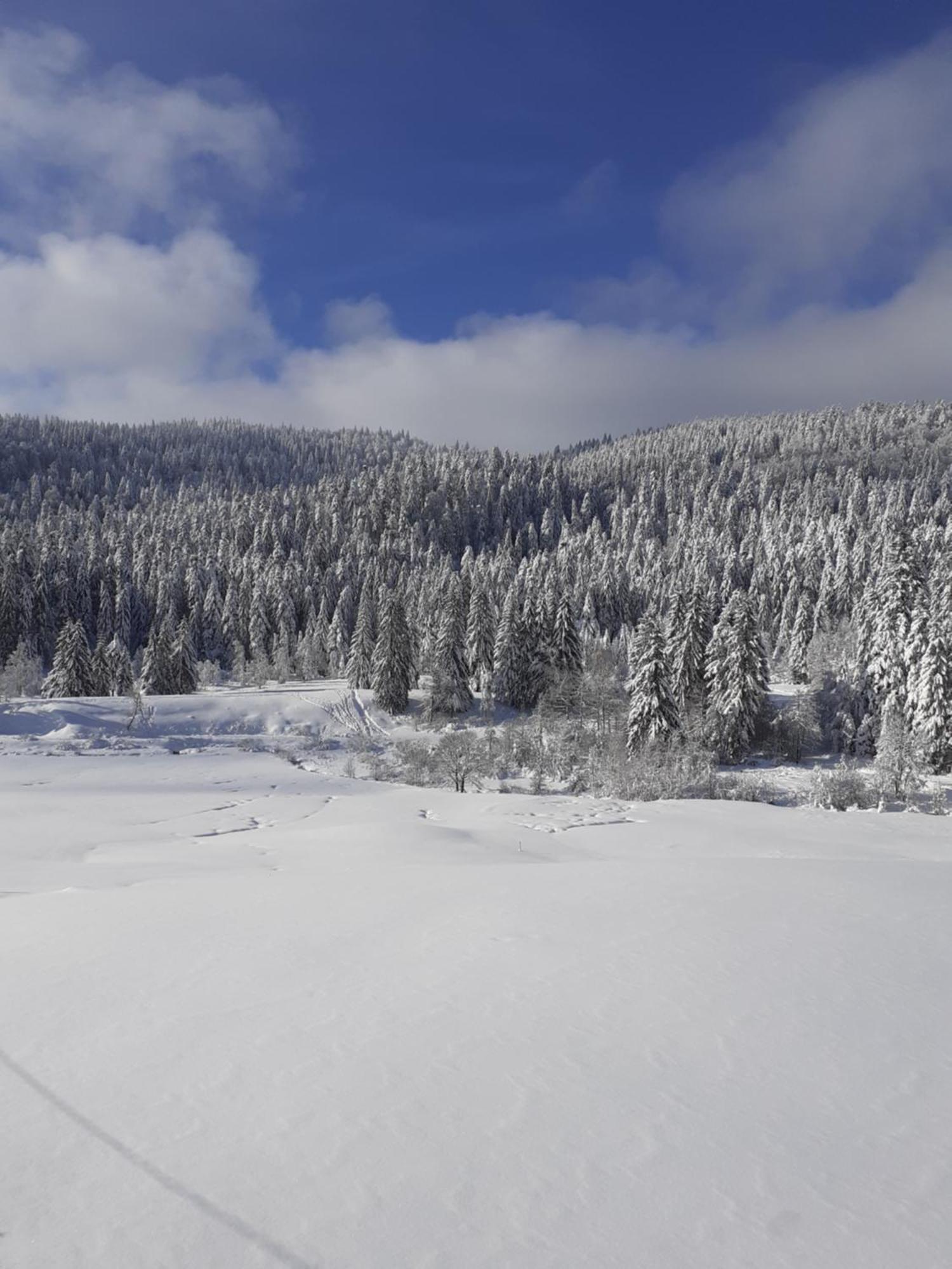 Domaine Des Hauts Viaux La Bresse Kültér fotó
