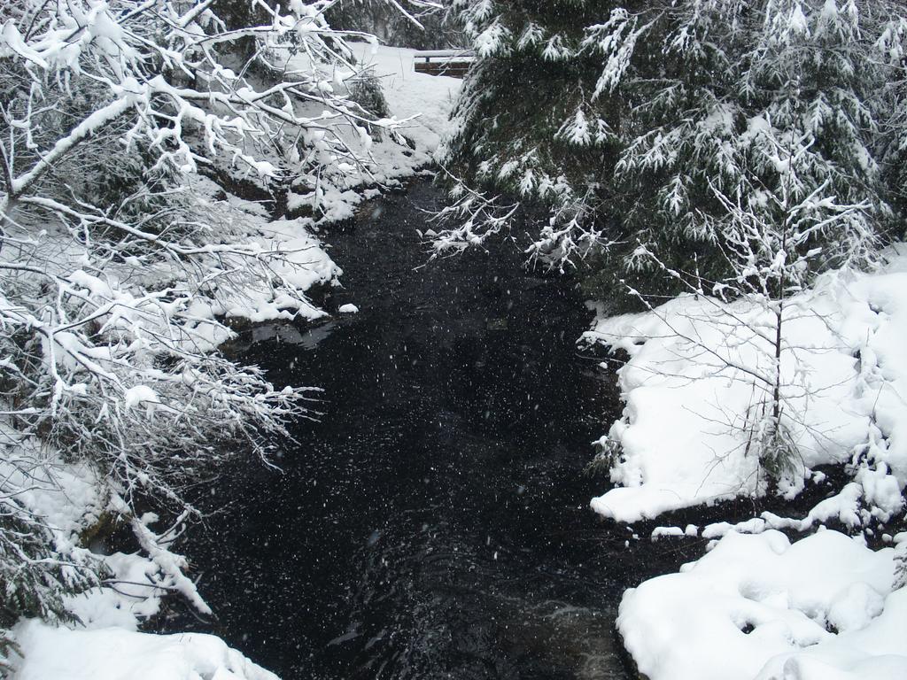 Domaine Des Hauts Viaux La Bresse Kültér fotó